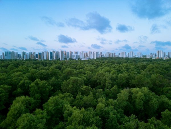 Boostez votre espace de travail grâce à des cabines acoustiques modernes